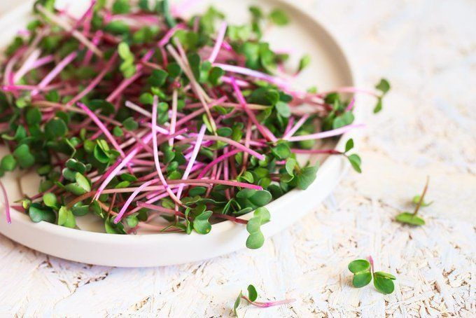 Radish